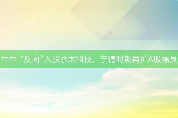 牛牛 “反向”入股永太科技，宁德时期再扩A股幅员
