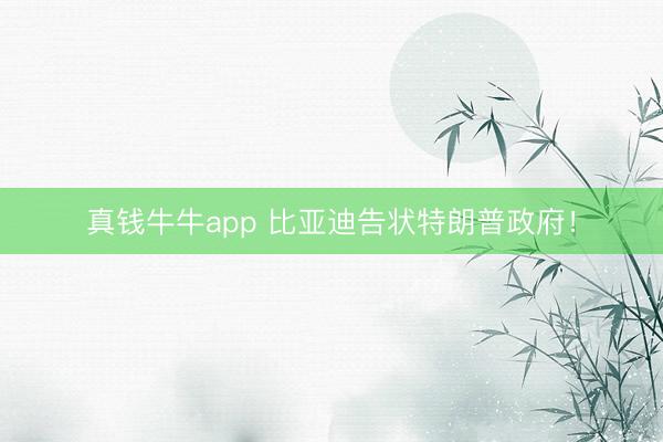 真钱牛牛app 比亚迪告状特朗普政府！