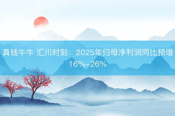 真钱牛牛 汇川时刻：2025年归母净利润同比预增16%-26%