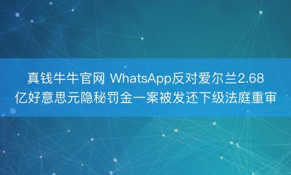 真钱牛牛官网 WhatsApp反对爱尔兰2.68亿好意思元隐秘罚金一案被发还下级法庭重审