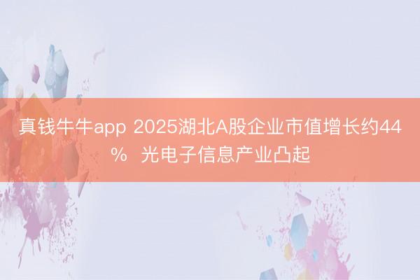 真钱牛牛app 2025湖北A股企业市值增长约44% 光电子信息产业凸起