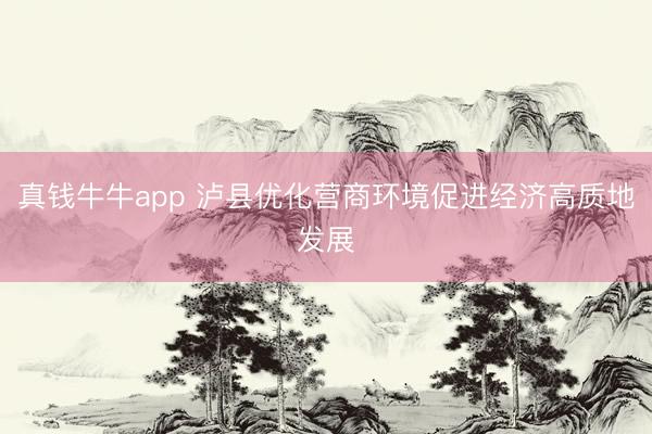 真钱牛牛app 泸县优化营商环境促进经济高质地发展