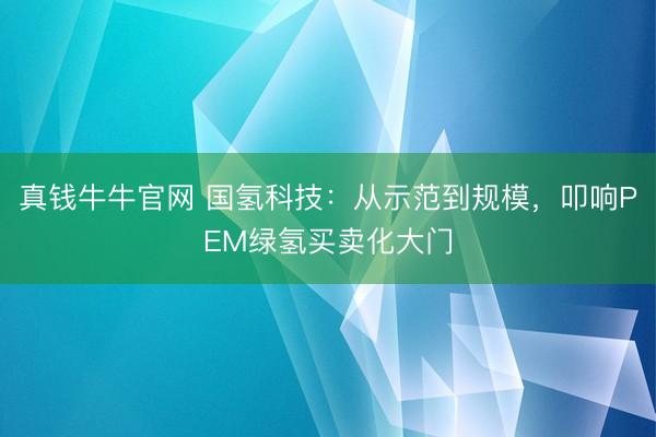 真钱牛牛官网 国氢科技：从示范到规模，叩响PEM绿氢买卖化大门