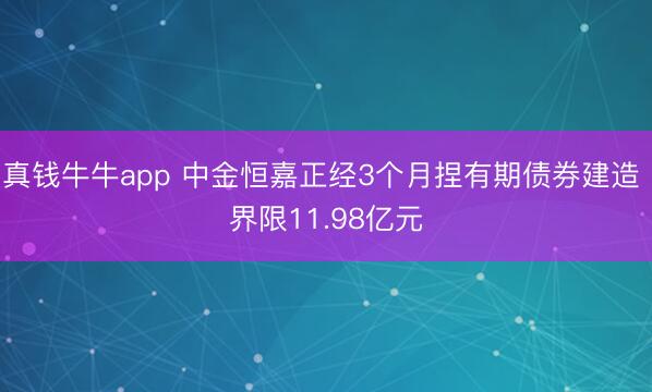 真钱牛牛app 中金恒嘉正经3个月捏有期债券建造 界限11.98亿元