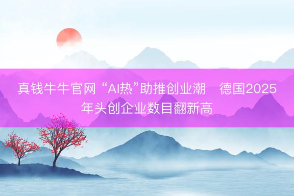 真钱牛牛官网 “AI热”助推创业潮　德国2025年头创企业数目翻新高