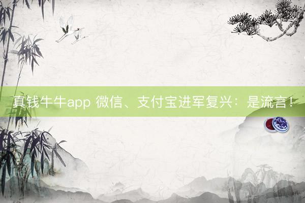 真钱牛牛app 微信、支付宝进军复兴：是流言！