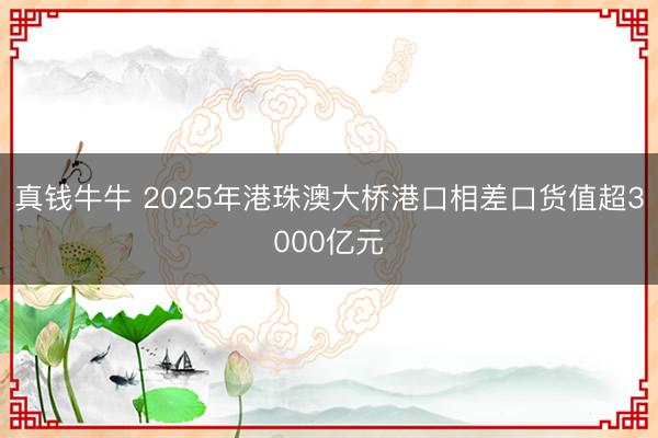 真钱牛牛 2025年港珠澳大桥港口相差口货值超3000亿元