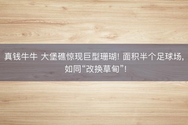 真钱牛牛 大堡礁惊现巨型珊瑚! 面积半个足球场， 如同“改换草甸”!