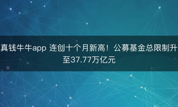真钱牛牛app 连创十个月新高！公募基金总限制升至37.77万亿元