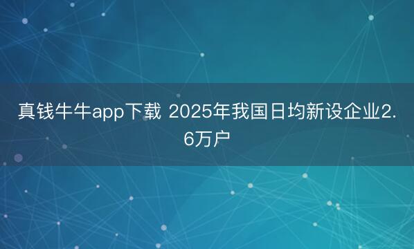 真钱牛牛app下载 2025年我国日均新设企业2.6万户