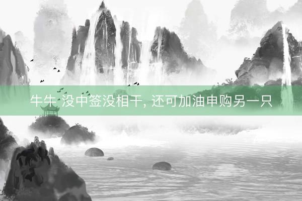 牛牛 没中签没相干， 还可加油申购另一只