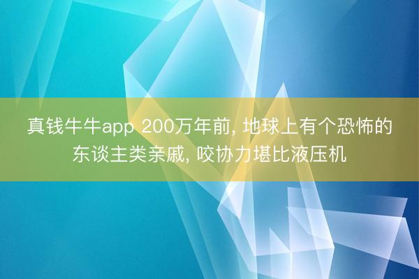 真钱牛牛app 200万年前， 地球上有个恐怖的东谈主类亲戚， 咬协力堪比液压机