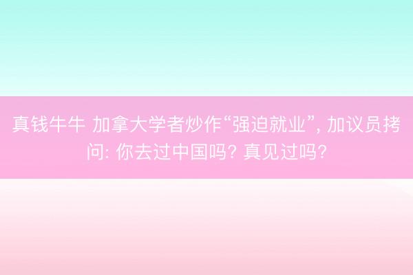 真钱牛牛 加拿大学者炒作“强迫就业”， 加议员拷问: 你去过中国吗? 真见过吗?