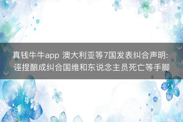 真钱牛牛app 澳大利亚等7国发表纠合声明: 诬捏酿成纠合国维和东说念主员死亡等手脚