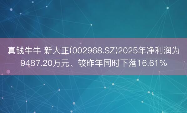 真钱牛牛 新大正(002968.SZ)2025年净利润为9487.20万元、较昨年同时下落16.61%