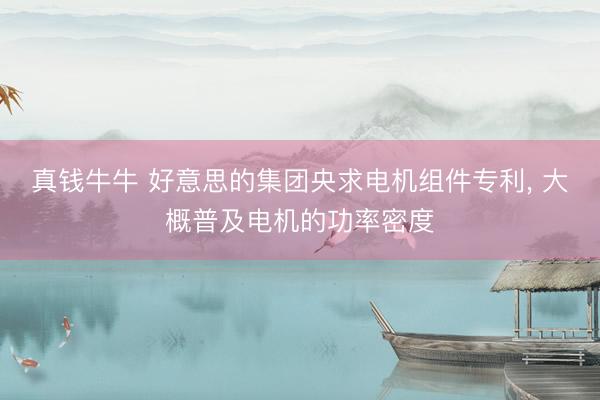 真钱牛牛 好意思的集团央求电机组件专利， 大概普及电机的功率密度