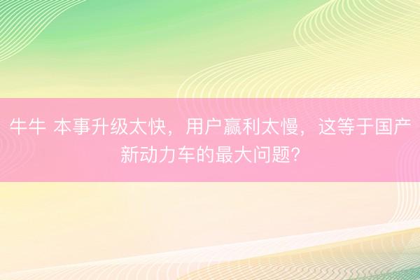 牛牛 本事升级太快，用户赢利太慢，这等于国产新动力车的最大问题?
