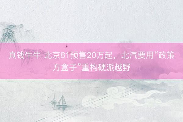 真钱牛牛 北京81预售20万起，北汽要用“政策方盒子”重构硬派越野